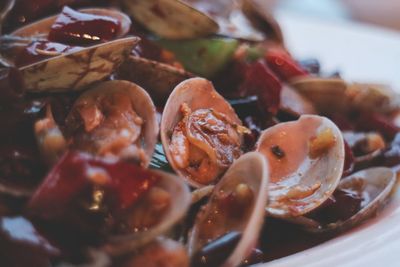 Close-up of food served in plate