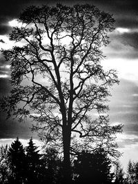 Low angle view of bare tree against cloudy sky