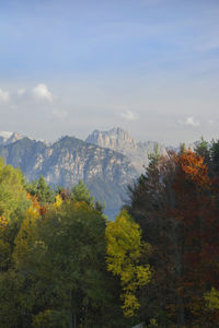 Scenic view of trees against sky during autumn