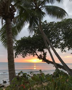 Scenic view of sea against sky at sunset