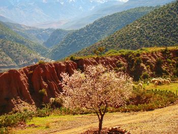 Scenic view of landscape and mountains