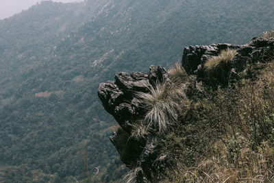 High angle view of rocks by trees on mountain