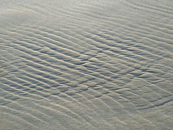 Full frame shot of sand dune