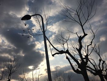 Low angle view of silhouette birds flying against sky