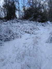 Scenic view of snow covered landscape