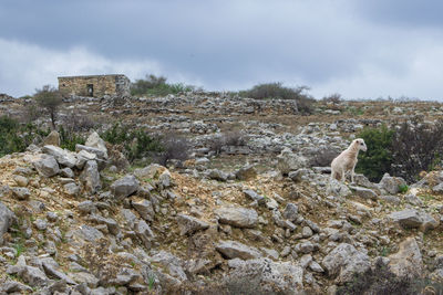 View of rocks against cloudy sky