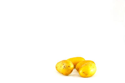 Close-up of oranges against white background