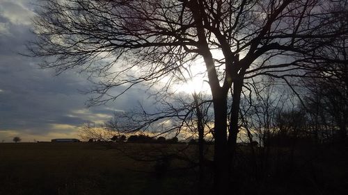 Silhouette bare trees on landscape against sky