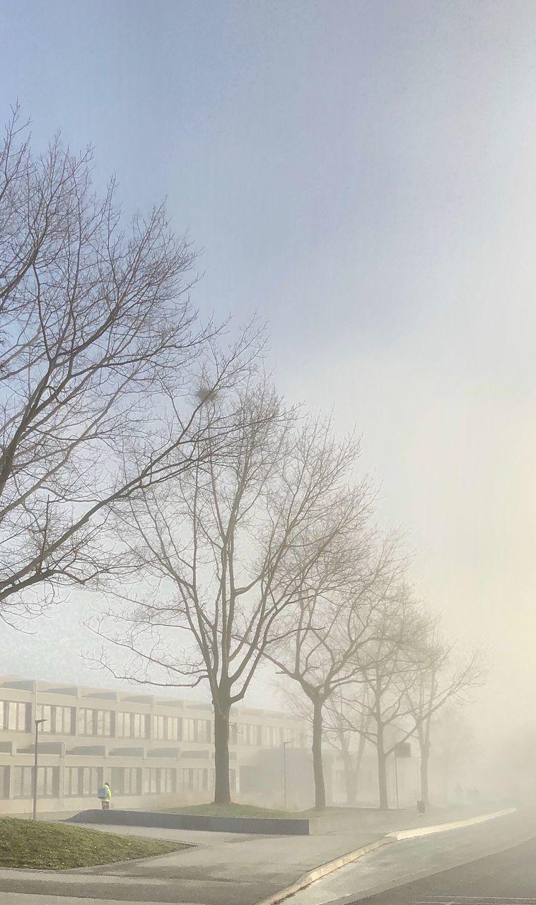 BARE TREES ON FIELD AGAINST SKY IN CITY