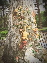 Plants growing on tree trunk