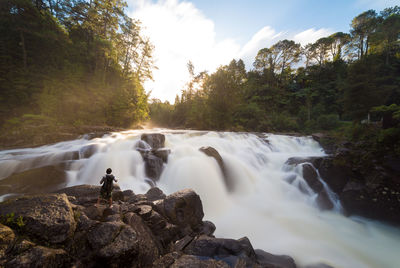 View of waterfall in forest