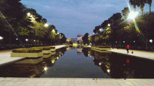 Reflection of illuminated trees in water at night