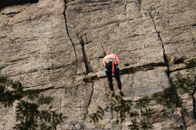 Rear view of person standing on rock