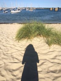 View of people on beach