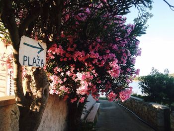 Flower tree