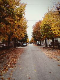 Empty road along trees during autumn