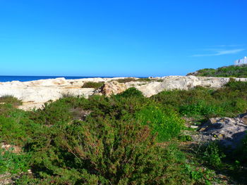 Scenic view of sea against clear blue sky