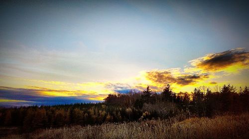 Scenic view of field against sky at sunset