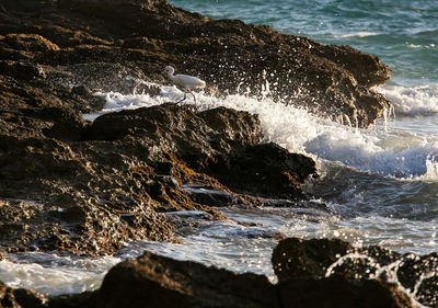 Sea waves splashing on rocks