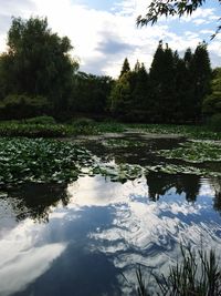 Reflection of clouds in lake