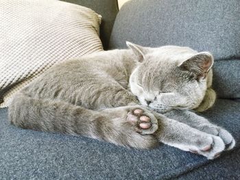 relaxation