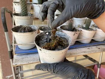 Midsection of man gardening