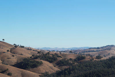 Scenic view of landscape against clear blue sky