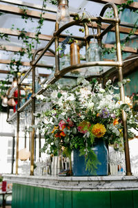 Close-up of potted plants hanging in pot