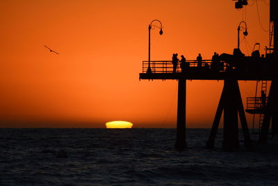 Silhouette of bird by sea against sky during sunset