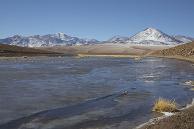 Highland lagoons next to geysers of "el tatio" at sunrise