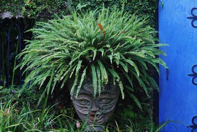 Close-up of sculpture in garden