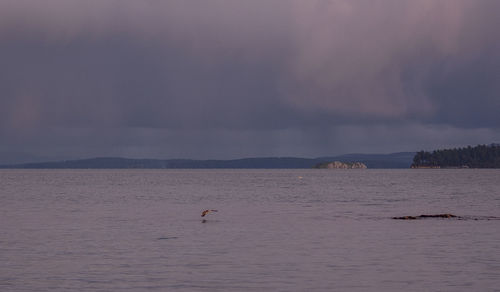 View of sea against sky