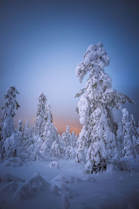 Snow covered land against clear sky