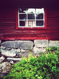 Window of old building