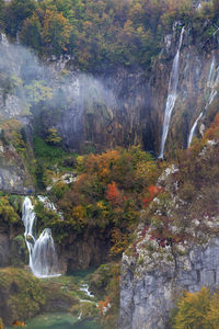 View of waterfall in forest