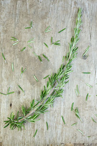 Directly above shot of rosemary on wooden table