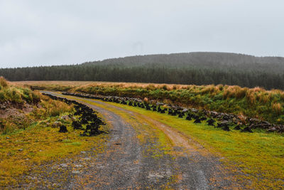 Road amidst field against sky