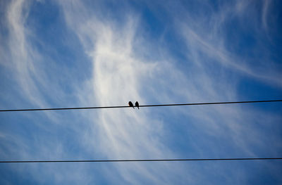 Low angle view of birds on cable against sky