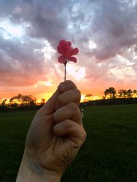 Close-up of hand holding flower on field against sky