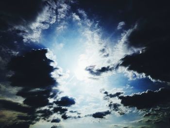 Low angle view of trees against sky