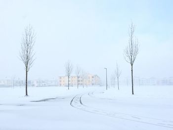 Bare trees on snow covered field