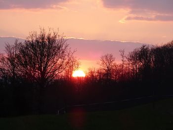 Silhouette of trees at sunset