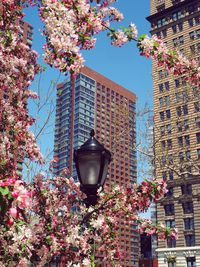 Low angle view of street light by building