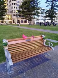 Pink flowering plants in park by buildings in city