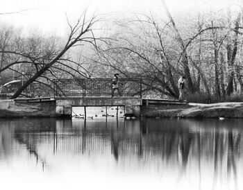 Reflection of bare trees in river