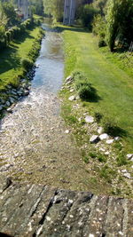 Scenic view of grass and trees
