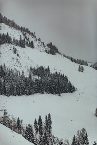 Trees on snow covered land against sky