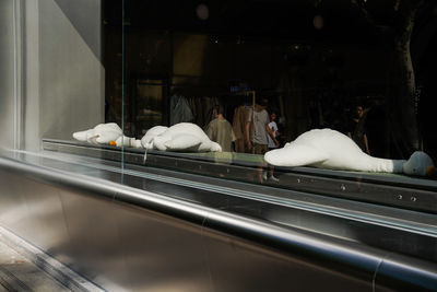 People standing in glass container