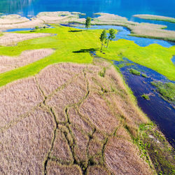 Scenic view of agricultural field