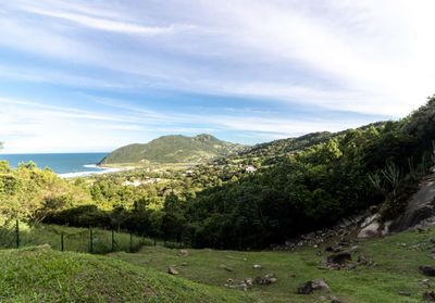 Scenic view of sea and trees against sky